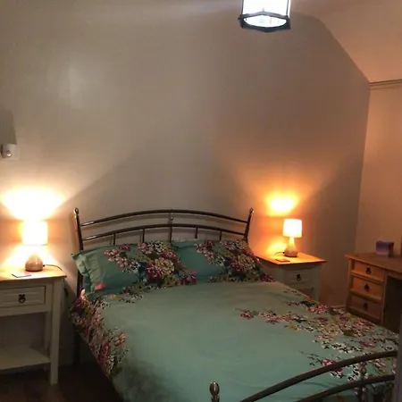 Mary's * セルビー